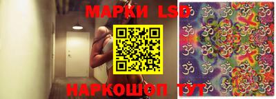 гашик Новокубанск