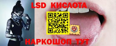 тгк Новозыбков