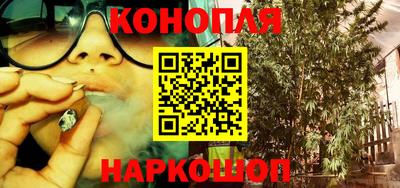гашик Новокубанск