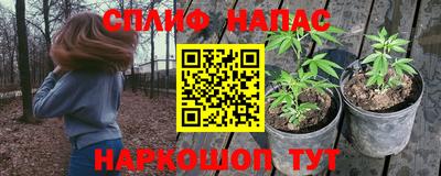 ПСИЛОЦИБИНОВЫЕ ГРИБЫ Новодвинск