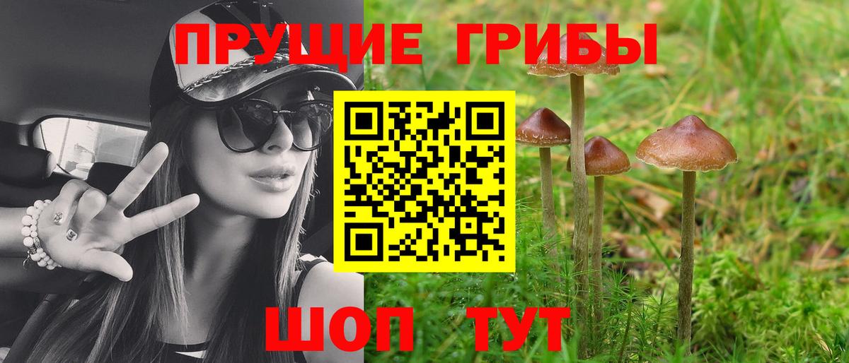 Галлюциногенные грибы ЛСД Урюпинск