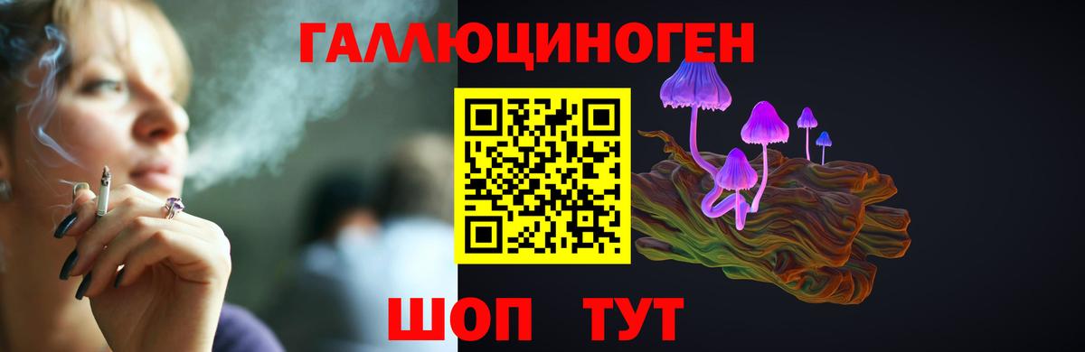 Галлюциногенные грибы GOLDEN TEACHER  Вход с VPN  Урюпинск 